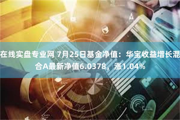 在线实盘专业网 7月25日基金净值：华宝收益增长混合A最新净值6.0378，涨1.04%