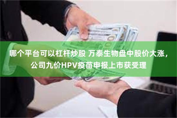 哪个平台可以杠杆炒股 万泰生物盘中股价大涨，公司九价HPV疫