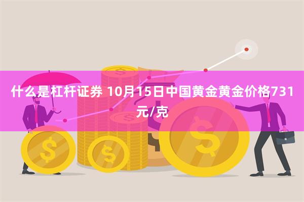 什么是杠杆证券 10月15日中国黄金黄金价格731元/克