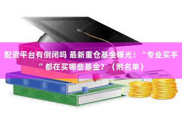 配资平台有倒闭吗 最新重仓基金曝光！“专业买手”都在买哪些基