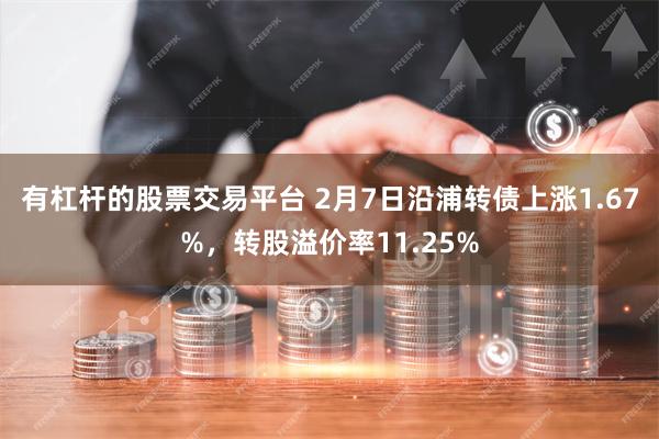 有杠杆的股票交易平台 2月7日沿浦转债上涨1.67%，转股溢