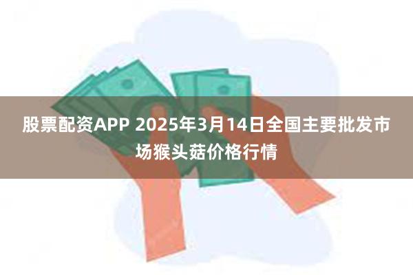 股票配资APP 2025年3月14日全国主要批发市场猴头菇价