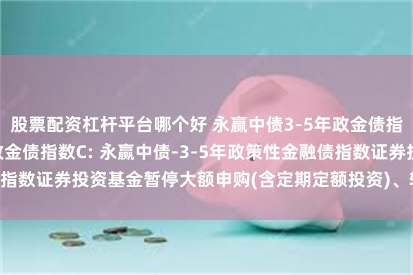 股票配资杠杆平台哪个好 永赢中债3-5年政金债指数A,永赢中