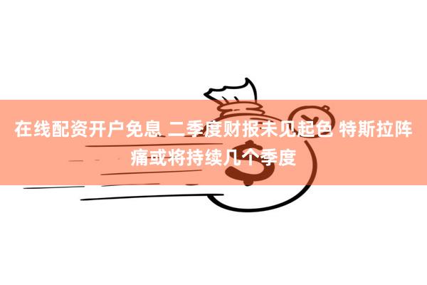 在线配资开户免息 二季度财报未见起色 特斯拉阵痛或将持续几个季度
