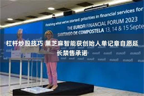 杠杆炒股技巧 黑芝麻智能获创始人单记章自愿延长禁售承诺