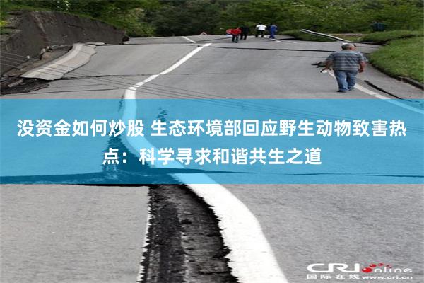 没资金如何炒股 生态环境部回应野生动物致害热点：科学寻求和谐共生之道