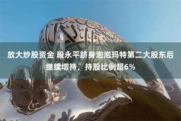 放大炒股资金 段永平跻身泡泡玛特第二大股东后继续增持，持股比例超6%