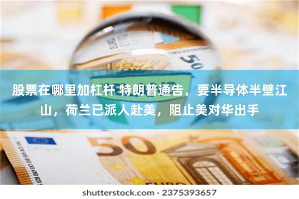 股票在哪里加杠杆 特朗普通告，要半导体半壁江山，荷兰已派人赴美，阻止美对华出手