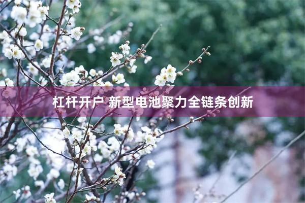 杠杆开户 新型电池聚力全链条创新
